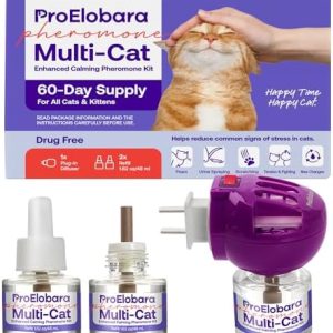Calm cats with essential oil diffuser.