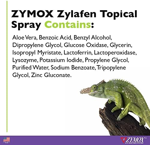 Paraben-Free Topical Steroid Cream - Image 3
