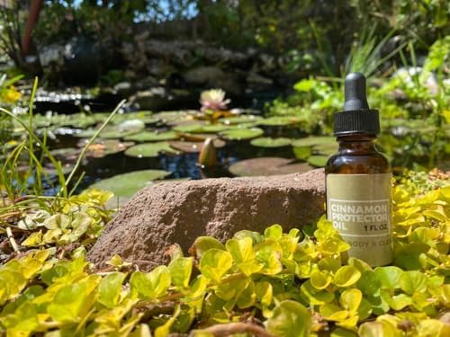 Eucalyptus Oil Density: Key Information - Image 6
