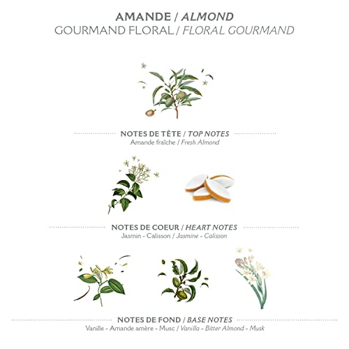 Almond Hand Cream by L?Occitane 150ml - Image 3