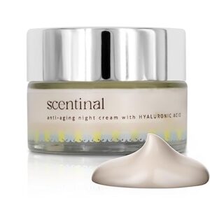 Co Natural Anti-Aging Cream: Youthful Skin Solution