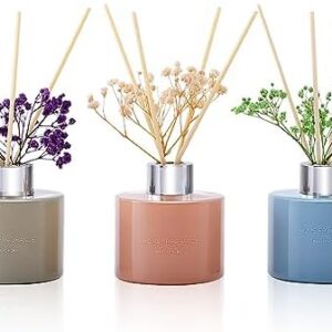 ?Cozy Oil Diffuser for Snuggling?