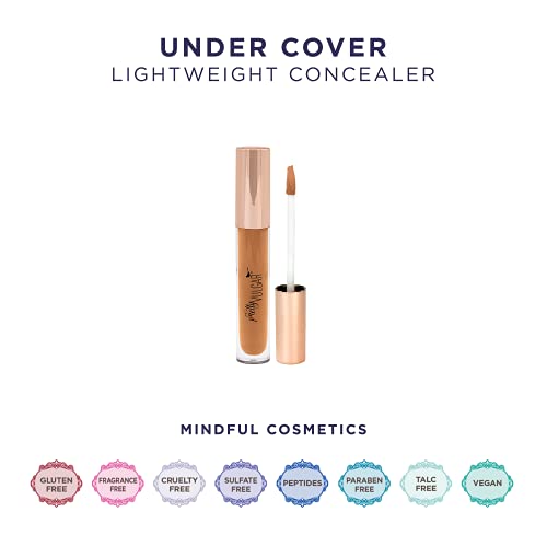 Estee Lauder High Coverage Concealer - Image 4