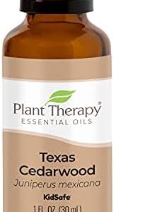 Oil diffuser placed near plants for enhanced benefits.