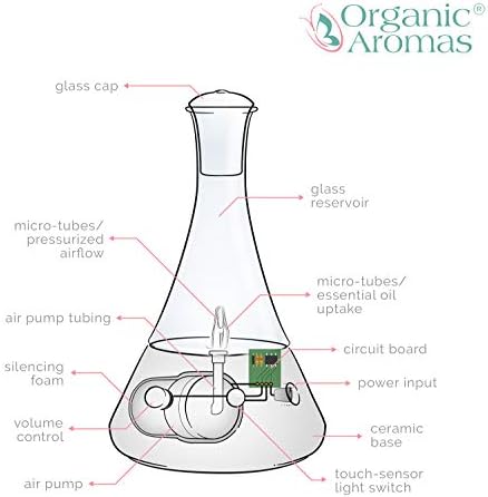 What Is an Essential Oil Diffuser? - Image 5
