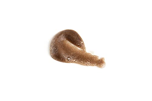 Paraben-Free Self-Tanner - Image 3