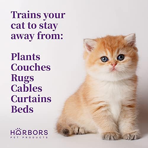 Cat Repellent: Eucalyptus Oil - Image 3