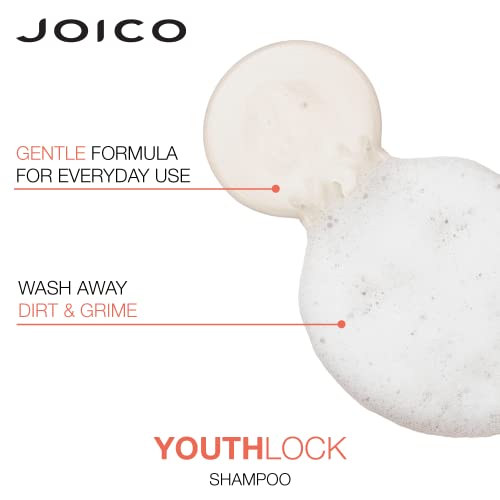 Joico Dandruff Shampoo ? Eliminates Flakes and Soothes Scalp - Image 3