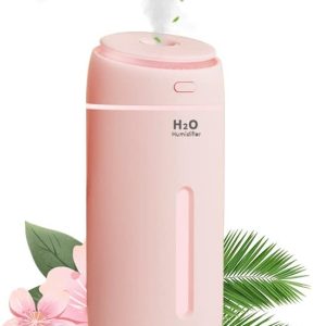 Compact Car Air Purifier with Aromatherapy Diffuser