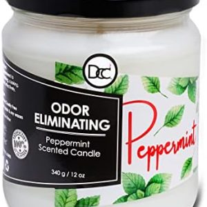 ?Flameless Oil Diffuser Candle?