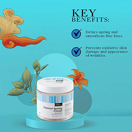 Anti Aging Skincare for Youthful Appearance - Image 5