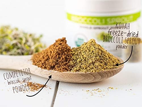 Superdrug?s Organic Foot Cream: Natural, Nourishing, Effective - Image 2