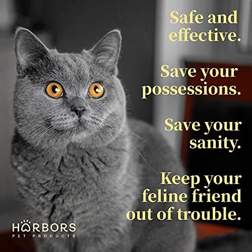 Cat Repellent: Eucalyptus Oil - Image 5