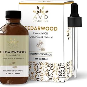 Focus Essential Oil Blend 10ml for Enhanced Clarity and Concentration