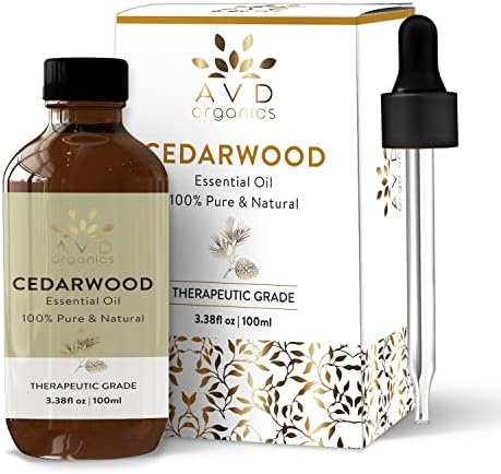 Focus Essential Oil Blend 10ml for Enhanced Clarity and Concentration