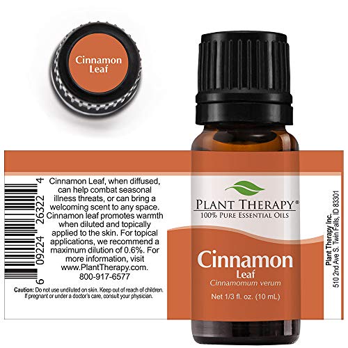 Cozy Fall Aromatherapy Essential Oil Diffuser Recipes - Home Use Recipes 100ml - Image 6