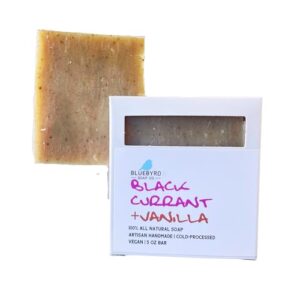 Aromatic Black Currant and Vanilla Infused Moisturizing Body Wash 16 fl oz