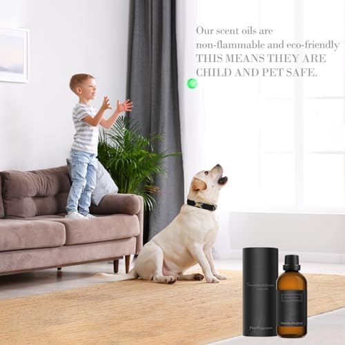 Cruelty-free Oil Diffuser - Image 5