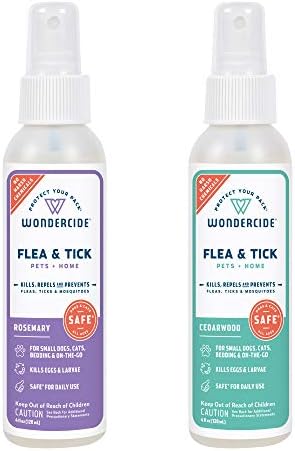 Eucalyptus Oil Effectively Kills Fleas