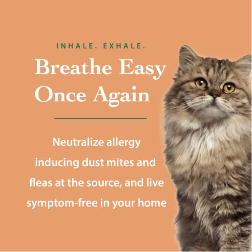 Eucalyptus Essential Oil Dust Mite Spray Allergen Relief 4oz - Image 4