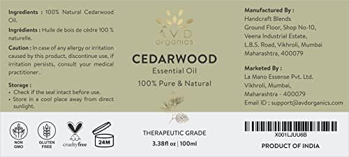 Focus Essential Oil Blend 10ml for Enhanced Clarity and Concentration - Image 3