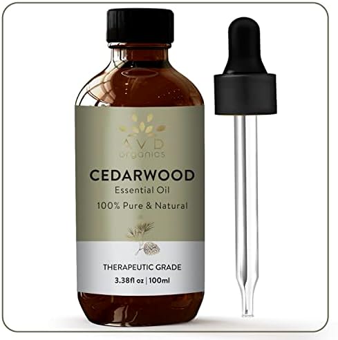 Focus Essential Oil Blend 10ml for Enhanced Clarity and Concentration - Image 2