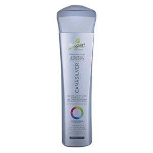 Sulfate-Free Paraben-Free Silver Shampoo