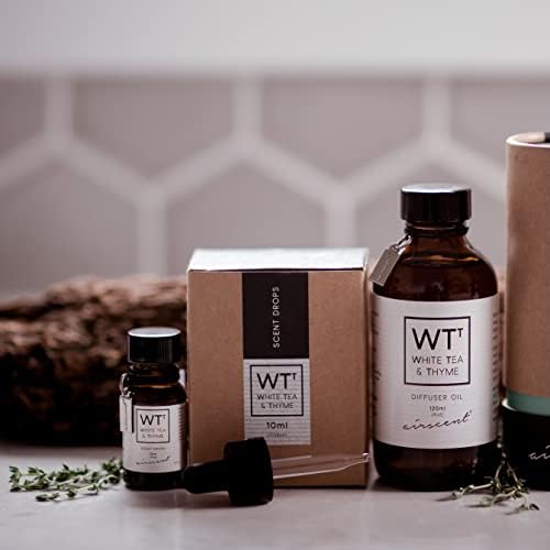 Tea Tree Oil for Clean Air - Image 7