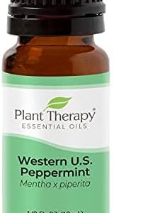 Top-rated essential oil diffuser for aromatherapy.