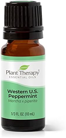 Top-rated essential oil diffuser for aromatherapy.