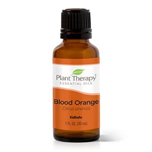 Vetiver Essential Oil Aromatherapy Blend for Diffusers 10ml