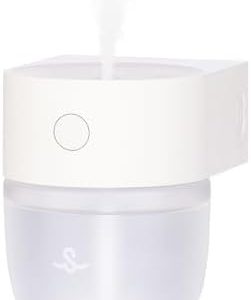 Oil diffuser that mounts on wall.