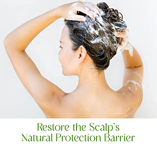 Tea Tree & Argan Oil Shampoo - Image 6