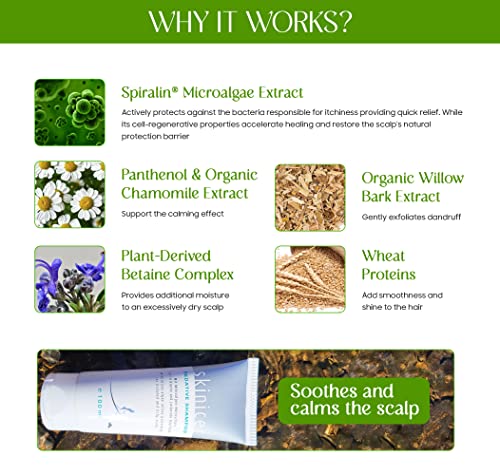 Tea Tree & Argan Oil Shampoo - Image 2