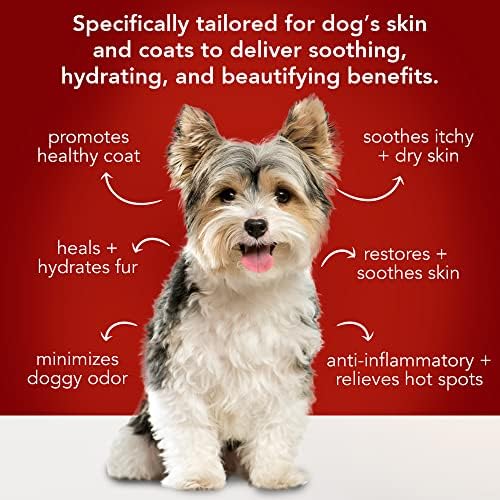 Groom Professional Argan Oil Dog Shampoo 500ml for Soft Shiny Coat - Image 5