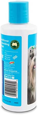 ?Dangers of Eucalyptus Oil for Cats? - Image 3