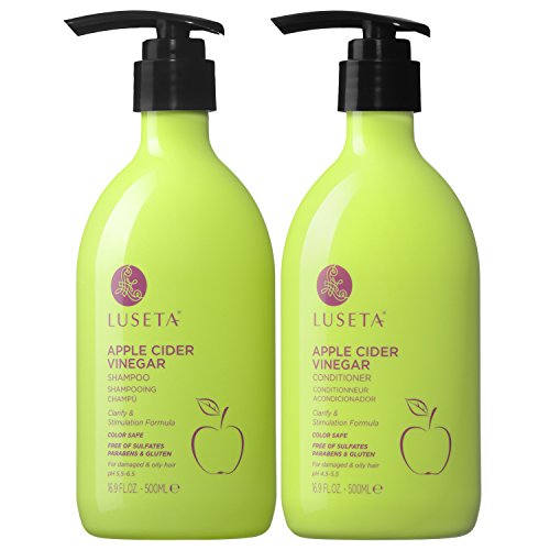Salon Quality Anti-Dandruff Shampoo for Flake Control, 16 oz Bottle