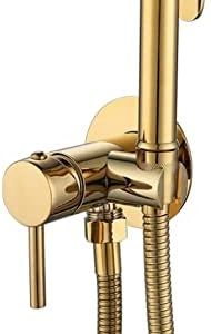 Gold Handheld Bidet Sprayer ? Portable with Hose