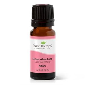 Plant Therapy 10ml 100% Pure Rose Absolute Essential Oil Therapeutic Grade