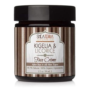Shea Terra Natural Anti-Aging After-Sun Face Cream 4 oz for All Skin Types