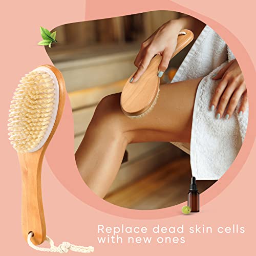 2 Piece Natural Boar Bristle Body Brush Set for Gentle Skin Exfoliation and Smoothing - Image 4