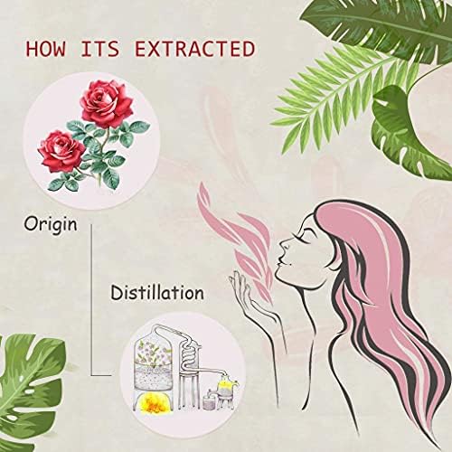 ?2-Pack Pure Organic Rose Essential Oil 10ML? - Image 2