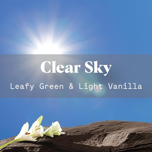 Duradry 3-Step System: AM Deodorant, PM Antiperspirant, Cleansing Body Wash - Clear Sky - Image 5