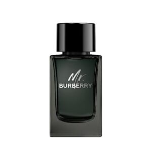 BURBERRY Mr Eau de Parfum – Woody Aromatic Cologne with Tarragon, Cinnamon, Patchouli & Vetiver