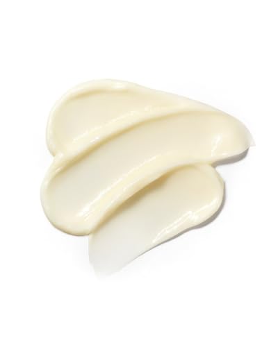 John Masters Organics Daily Nourishing 8 oz Leave-In Conditioner Organic Silicone-Free - Image 3