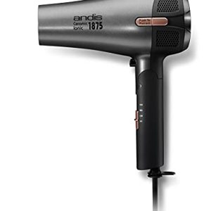 Andis 80280 Fold-n-Go 1875W Ceramic Ionic Dryer, Lightweight, Retractable Cord, Black/Silver