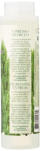 NESTI DANTE Cypress Shower Gel 300ml - Image 2