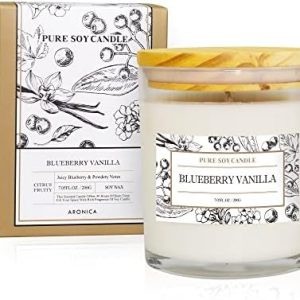 Aronica Blueberry Summer Candles - Pet Safe, Non-Toxic Home Air Freshener