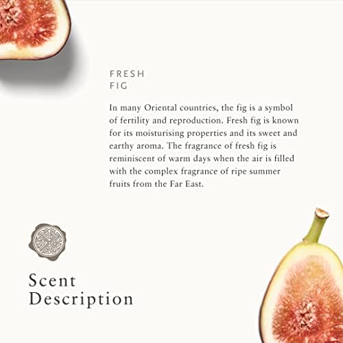 RITUALS Wild Fig 12.6 Oz Scented Candle Aromatherapy Blend Fig Orris Clove Sandalwood - Image 5