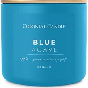 Blue Agave Scented 14.5 oz 3-Wick Jar Candle - 60 Hour Burn